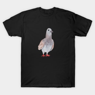 Watercolor pigeon T-Shirt